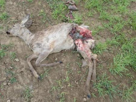 e96e3f4505a15aa9c8abd2ccf6b5a398