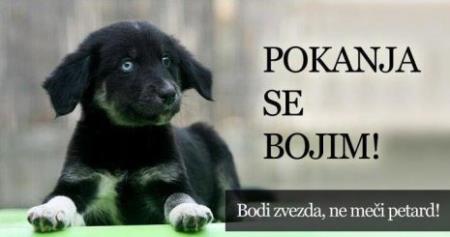 ec8c99a509298d18772c40ea59b0b629